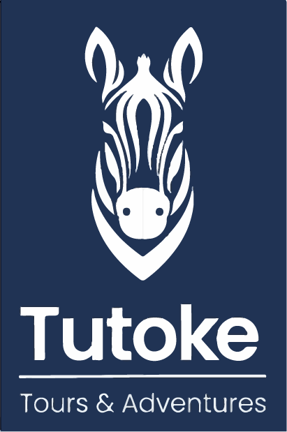 Tutoke Tours & Adventures